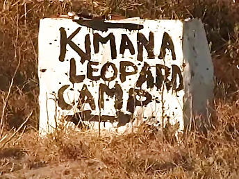 Bob Terminator & Melody Kord's retro hard-core venture