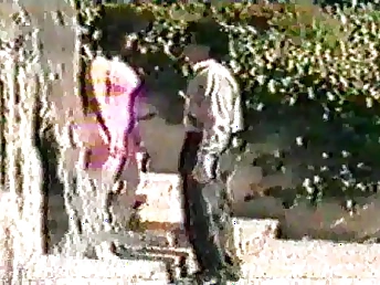 Arab Night: A sensual Murk in with a hot inclusive